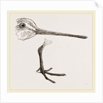 Hed and Leg of Snipe by Anonymous