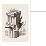 Stork's Nest at Persepolis, Iran by Anonymous