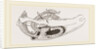 Breast-bone of Wild Swan by Anonymous