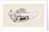 Breast-bone of Wild Swan by Anonymous