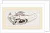 Breast-bone of Wild Swan by Anonymous
