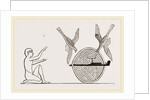 Clap-net of Ancient Egyptians for Bird-catching, Egypt by Anonymous