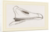 Bill of Egyptian Goose by Anonymous