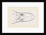 Bill of Egyptian Goose by Anonymous