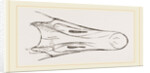 Bill of Snow Goose by Anonymous