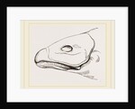 Bill of Cereopsis Goose by Anonymous