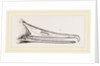 Bill of Merganser by Anonymous