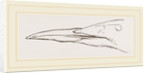 Bill of Guillemot by Anonymous