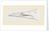 Bill of Guillemot by Anonymous