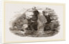 Fowlers of St Kilda by Anonymous