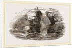 Fowlers of St Kilda by Anonymous
