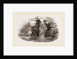 Fowlers of St Kilda by Anonymous