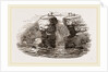 Fowlers of St Kilda by Anonymous