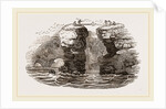 Fowlers of St Kilda by Anonymous