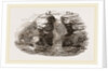 Fowlers of St Kilda by Anonymous