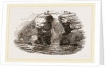 Fowlers of St Kilda by Anonymous