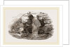 Fowlers of St Kilda by Anonymous