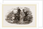 Fowlers of St Kilda by Anonymous