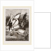 Pelicans by Anonymous