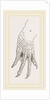 Hind-Leg of Caiman by Anonymous