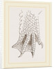 Hind-Leg of Crocodile by Anonymous