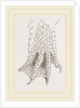 Hind-Leg of Crocodile by Anonymous