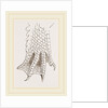 Hind-Leg of Crocodile by Anonymous
