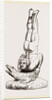 Egyptian Tumbler on Crocodile, Egypt by Anonymous