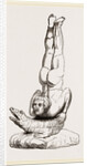 Egyptian Tumbler on Crocodile, Egypt by Anonymous