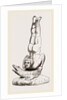 Egyptian Tumbler on Crocodile, Egypt by Anonymous