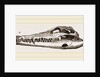 Skull of Crocodile and Caiman by Anonymous