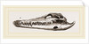 Skull of Crocodile and Caiman by Anonymous