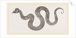 asilisk of Grevinus by Anonymous