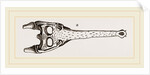 Head of Gavial by Anonymous