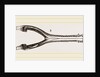 Head of Gavial by Anonymous