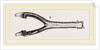 Head of Gavial by Anonymous