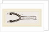 Head of Gavial by Anonymous