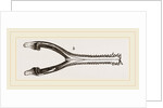 Head of Gavial by Anonymous