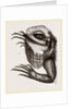 Head of Iguana by Anonymous