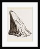 Nasal Horn of Iguanodon by Anonymous