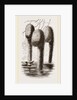 Nests of Pensile Weaver Birds by Anonymous