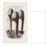 Nests of Pensile Weaver Birds by Anonymous