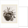 Nest of Yellow-Hammer by Anonymous