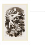 Snow-Birds by Anonymous