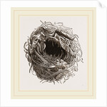 Nest of Yellow Wren by Anonymous