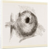 Nest of Long-tailed Titmouse by Anonymous