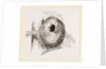 Nest of Long-tailed Titmouse by Anonymous