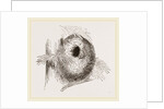 Nest of Long-tailed Titmouse by Anonymous