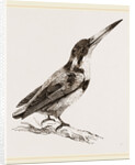 Burung biru by Anonymous