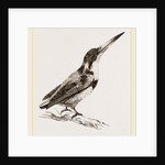 Burung biru by Anonymous